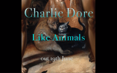 Charlie Dore – Like Animals – album preview video